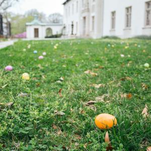 Easter Eggs in Grass